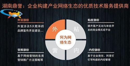 二十年網(wǎng)絡(luò)營(yíng)銷實(shí)戰(zhàn)專家談 國(guó)內(nèi)企業(yè)網(wǎng)絡(luò)營(yíng)銷推廣的“道、法、術(shù)”